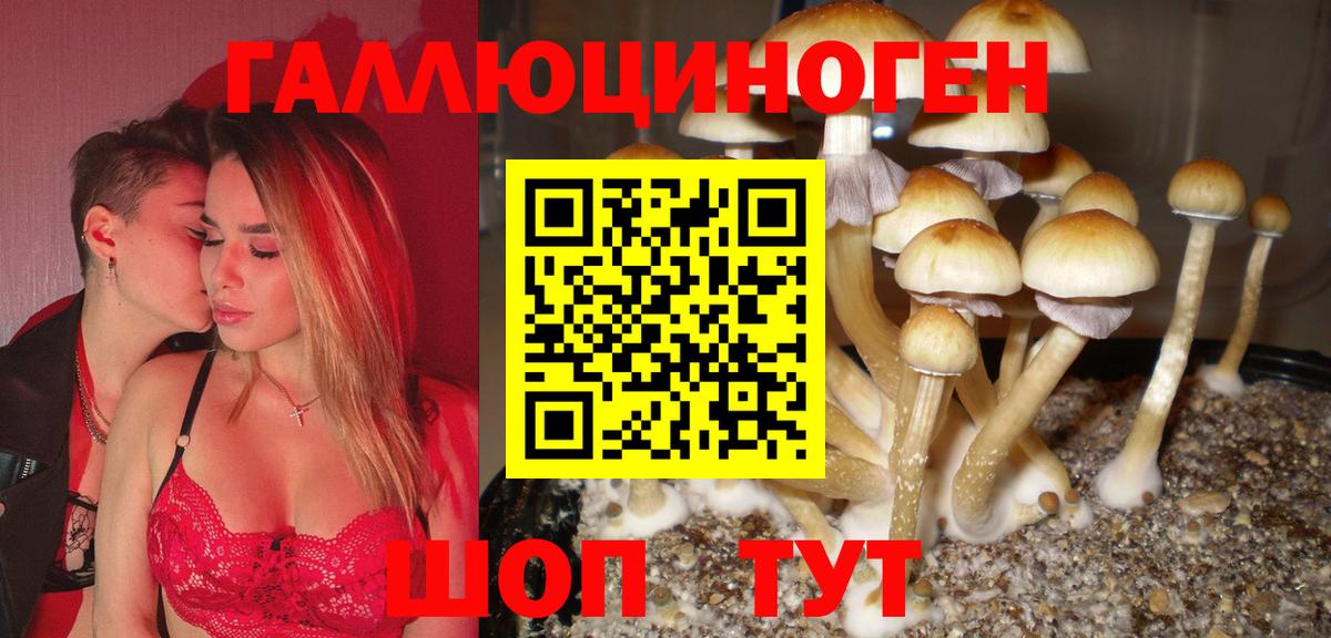 купить наркотики цена  Галлюциногенные грибы мицелий  Вход с VPN  Галлюциногенные грибы ЛСД  Анжеро-Судженск 